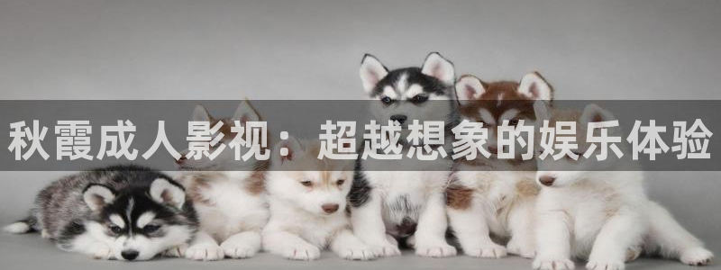 神马午夜麻豆电影